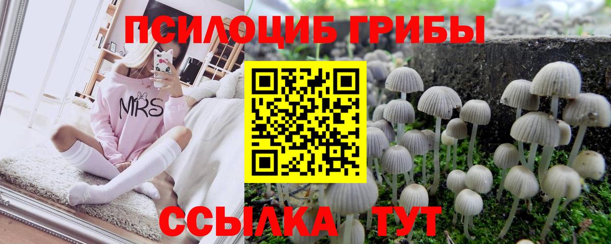 Галлюциногенные грибы MAGIC MUSHROOMS Орехово-Зуево